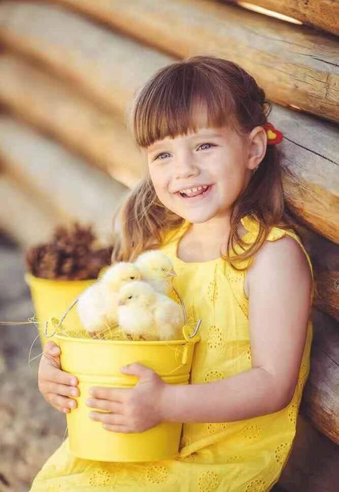 35 Premium Automatic Chicken Egg Incubator image 10