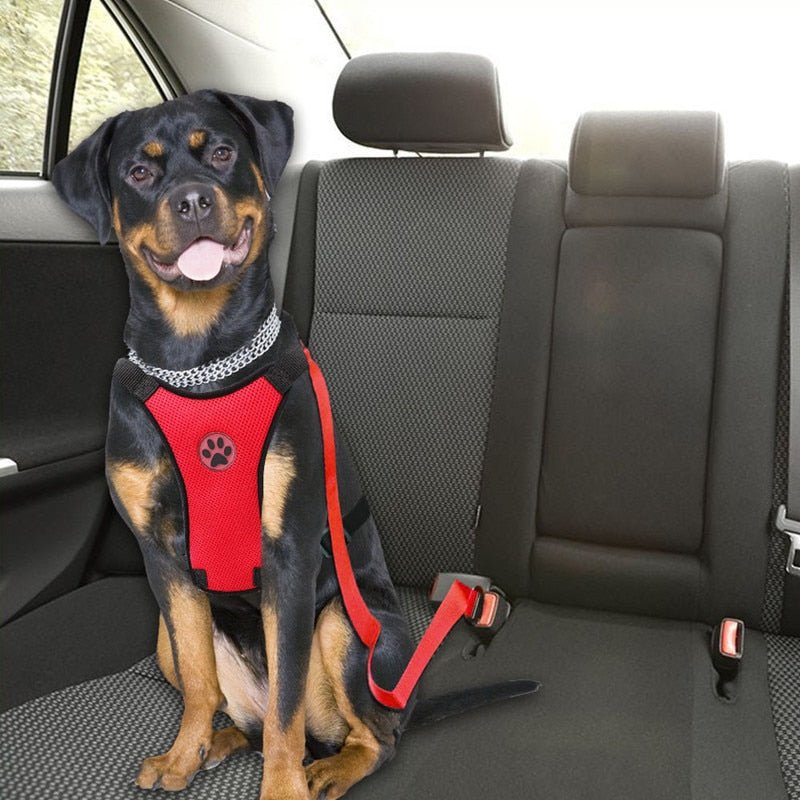 Dog Car Harness Seat Belt Restraint - Red, L image