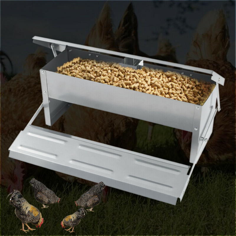 Premium Automatic PVC Chicken Feeder image 7