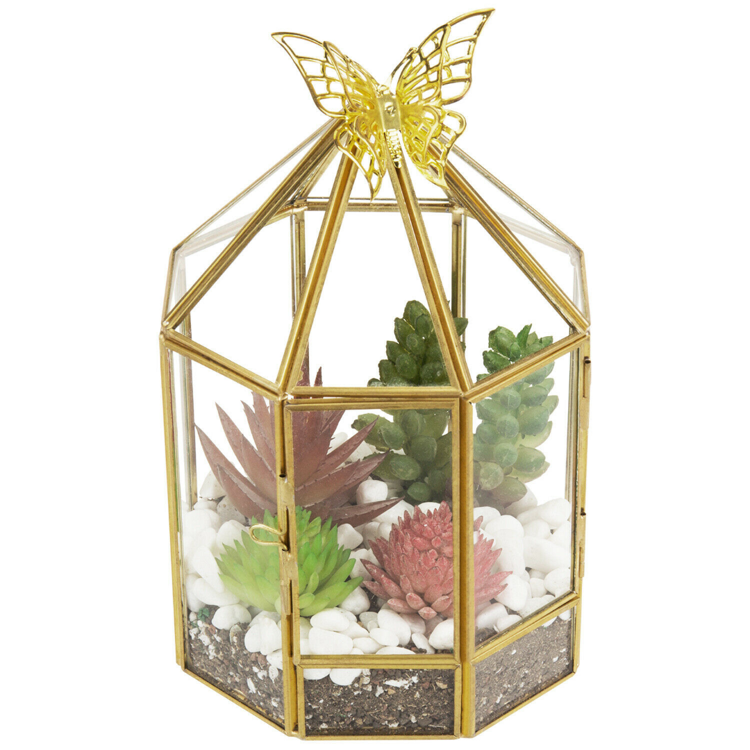 Hexagonal Closed Indoor Glass Plant Standing Terrarium image 6