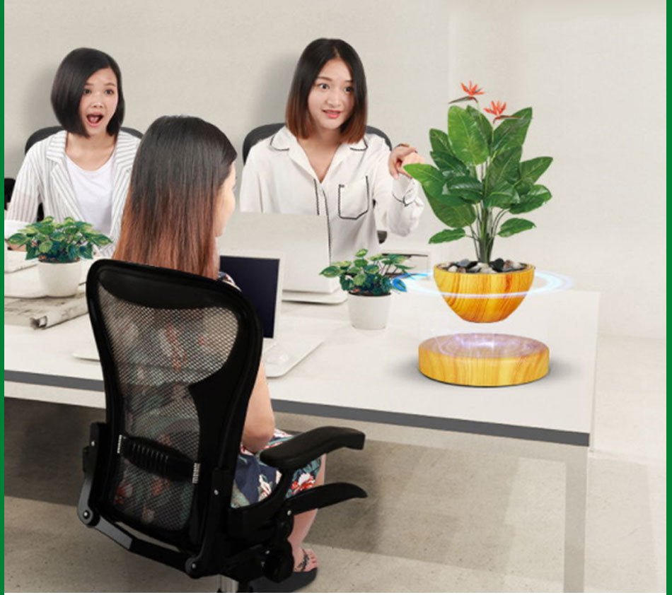 Levitating Magnetic Bonsai Tree Planter Pot image 1