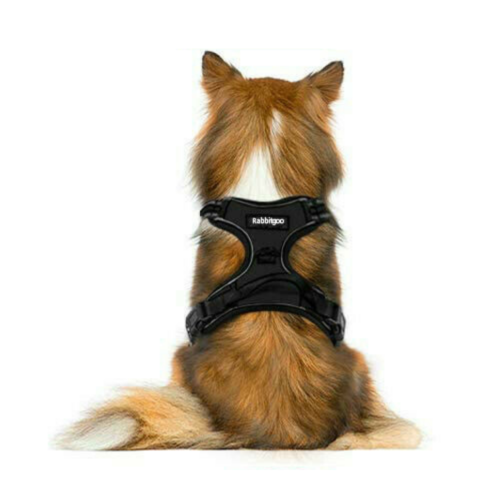 Heavy Duty No Pulling Front Clipping Dog Harness image 3