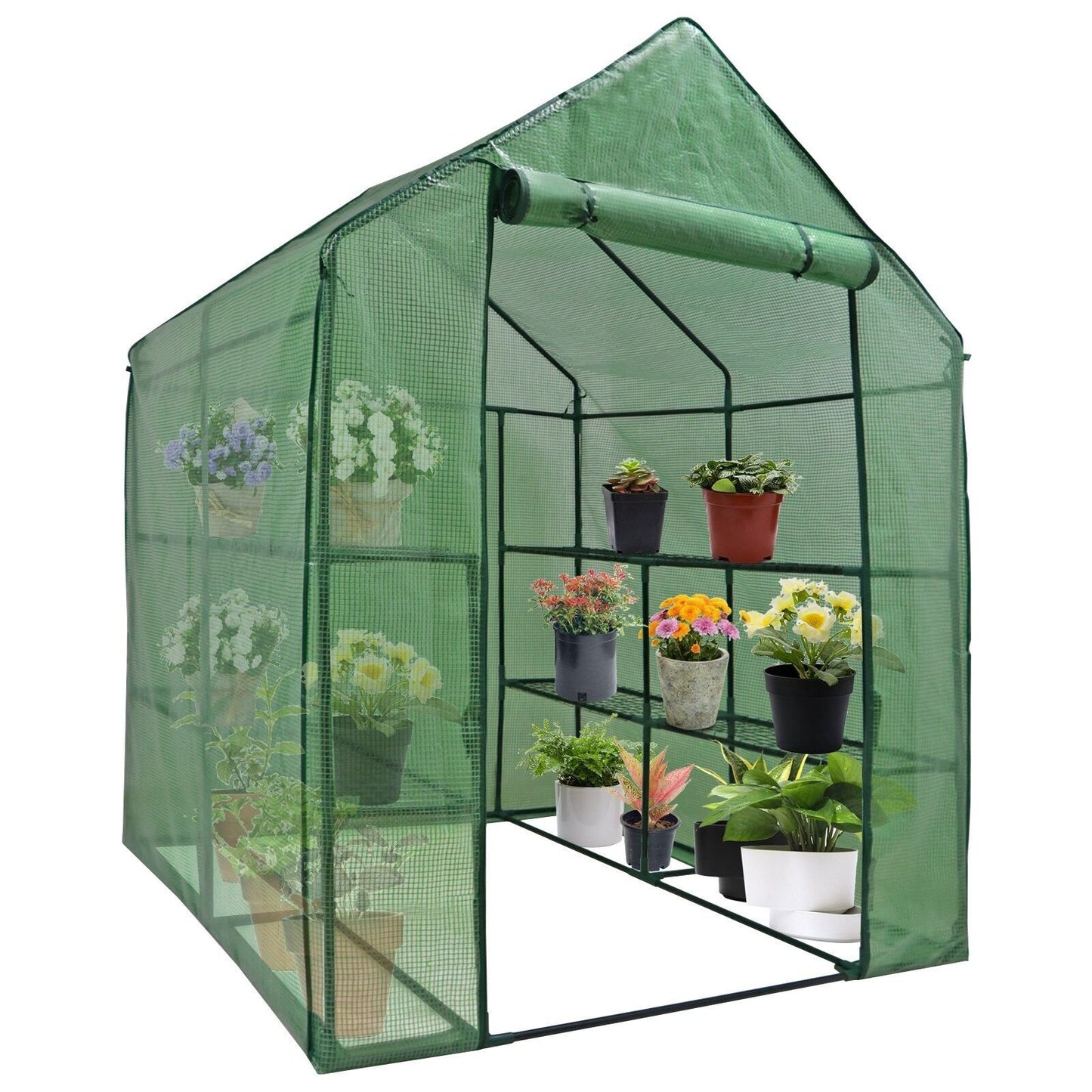 Walk-In Plant Greenhouse with Durable PE Cover image 0