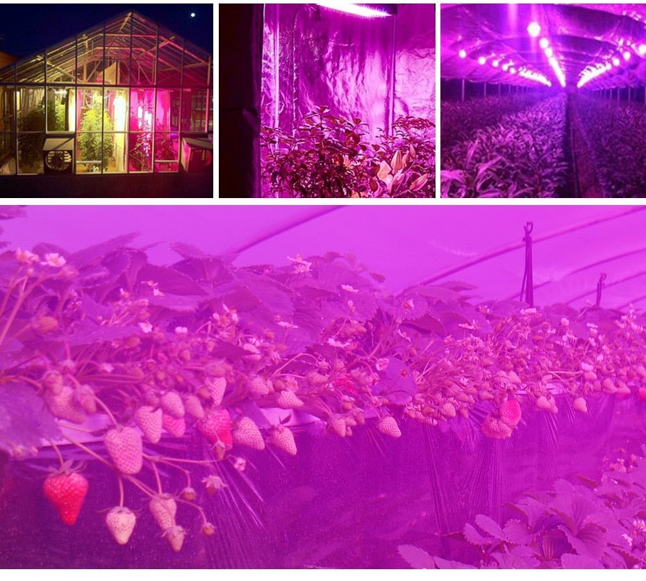 Plant LED Grow Lights Full Spectrum Indoor image 6