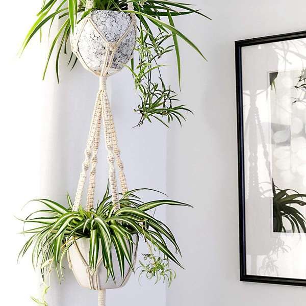 Premium Macrame Ceiling Hanging Planter Holder 5 Pack image 3