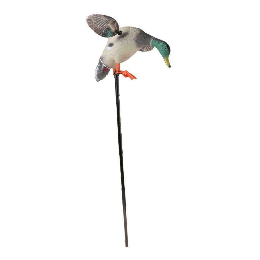 Premium Mallard Drake Full Body Motion Duck Decoy image 3