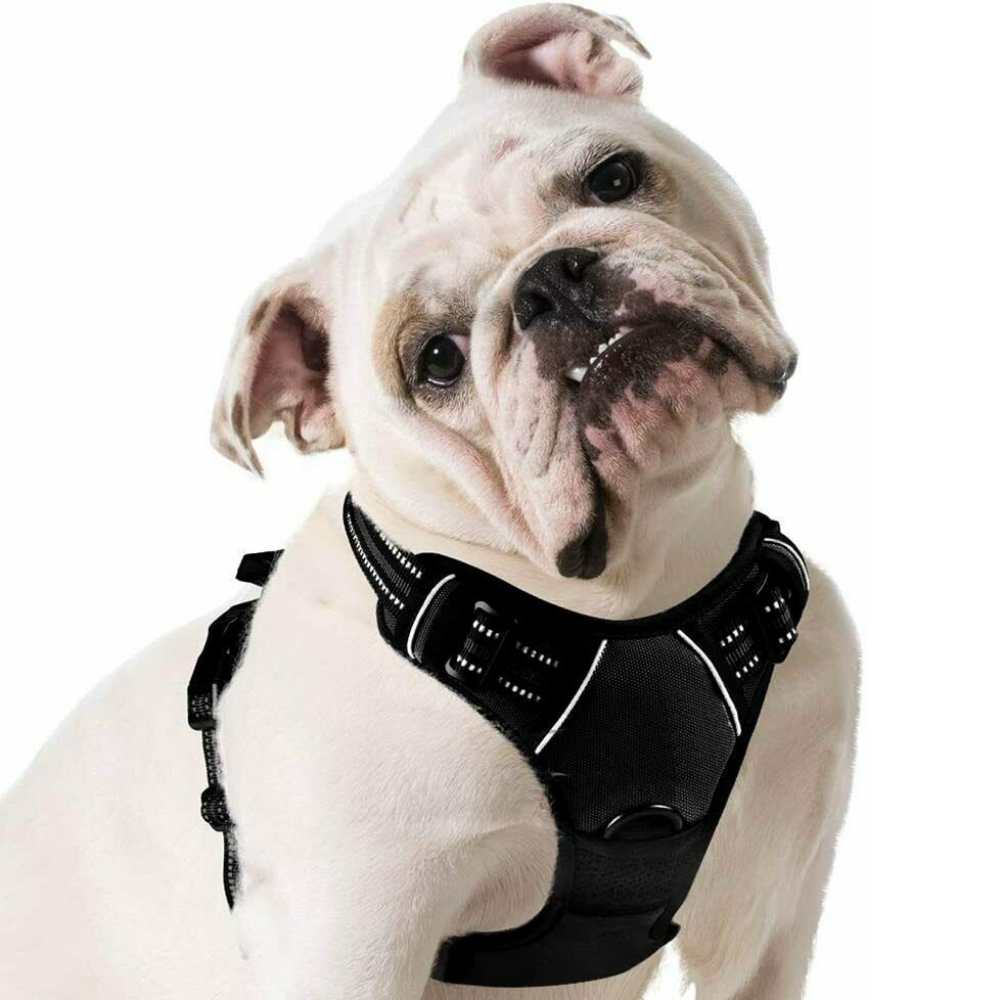Heavy Duty No Pulling Front Clipping Dog Harness - Small image