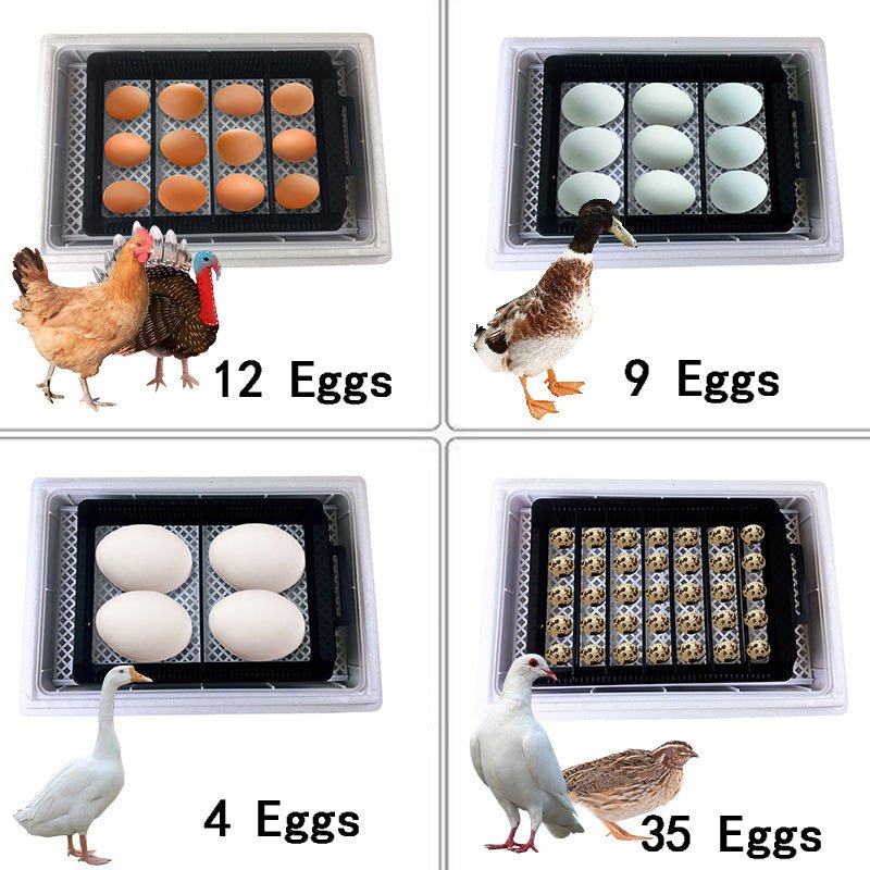 35 Premium Automatic Chicken Egg Incubator image 6
