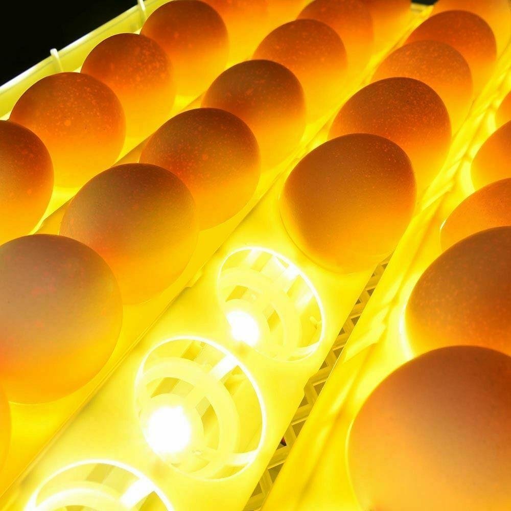 Premium Egg Incubator Automatic Chicken Quail Egg Hatcher 24 Eggs image 1