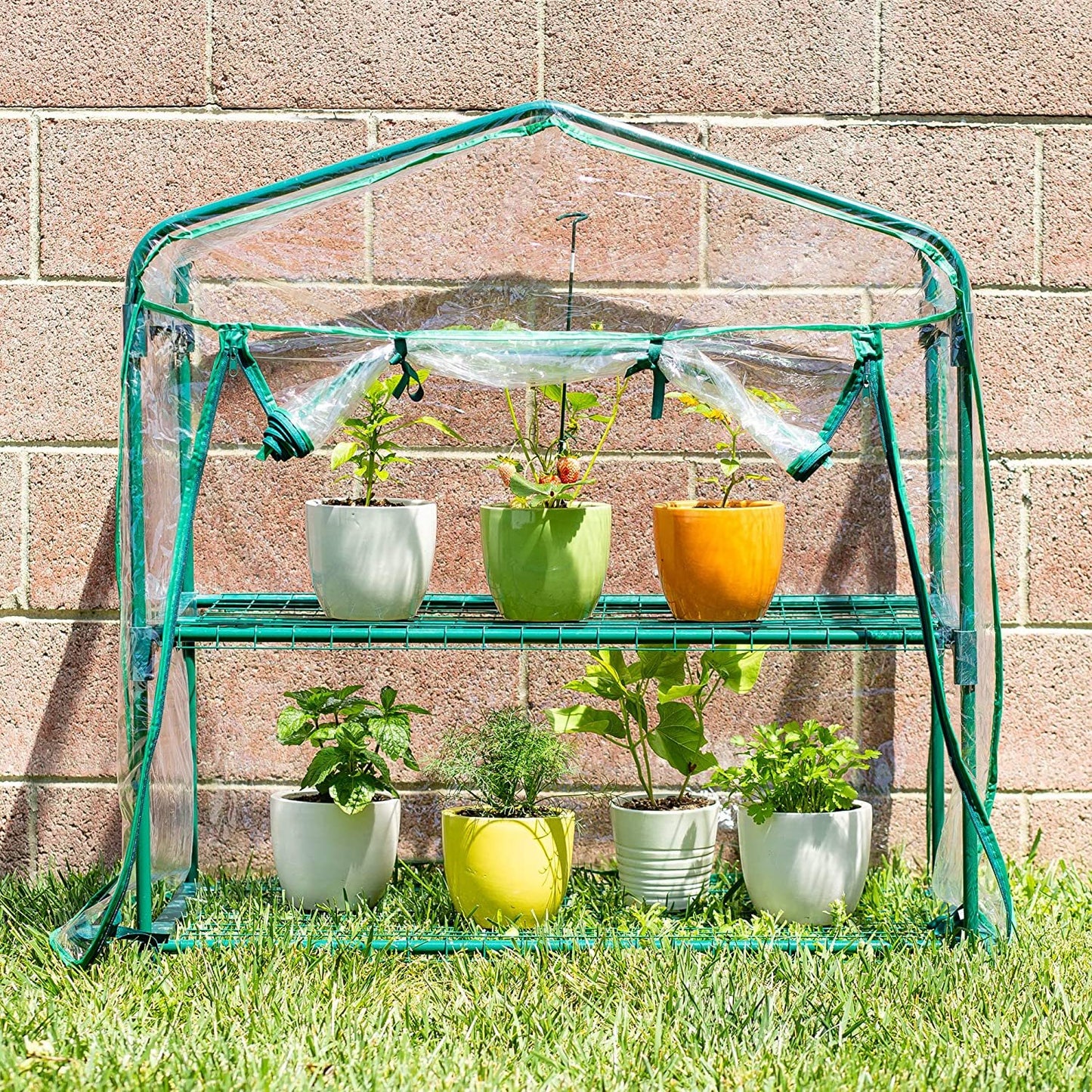 Educational Small Green House DIY Mini Indoor Little Greenhouse Indoor/Outdoor image 0