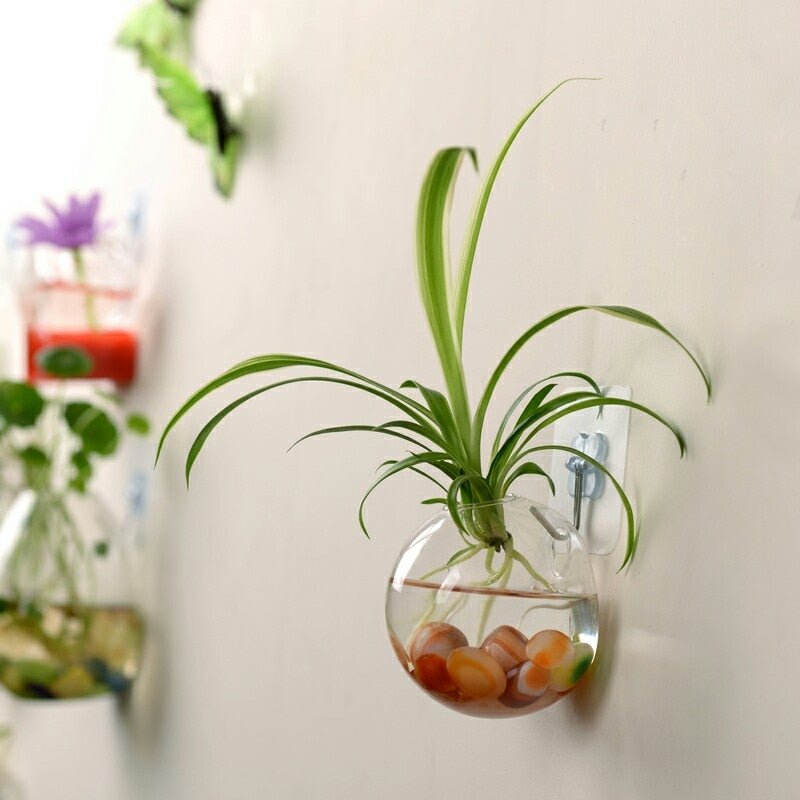 Luxurious Wall Mounted Planter Holder image 8