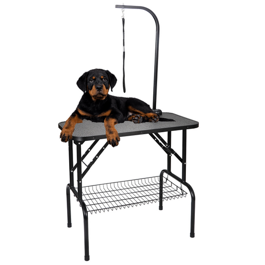 Large Adjustable Pet Grooming Table With Arm image 0