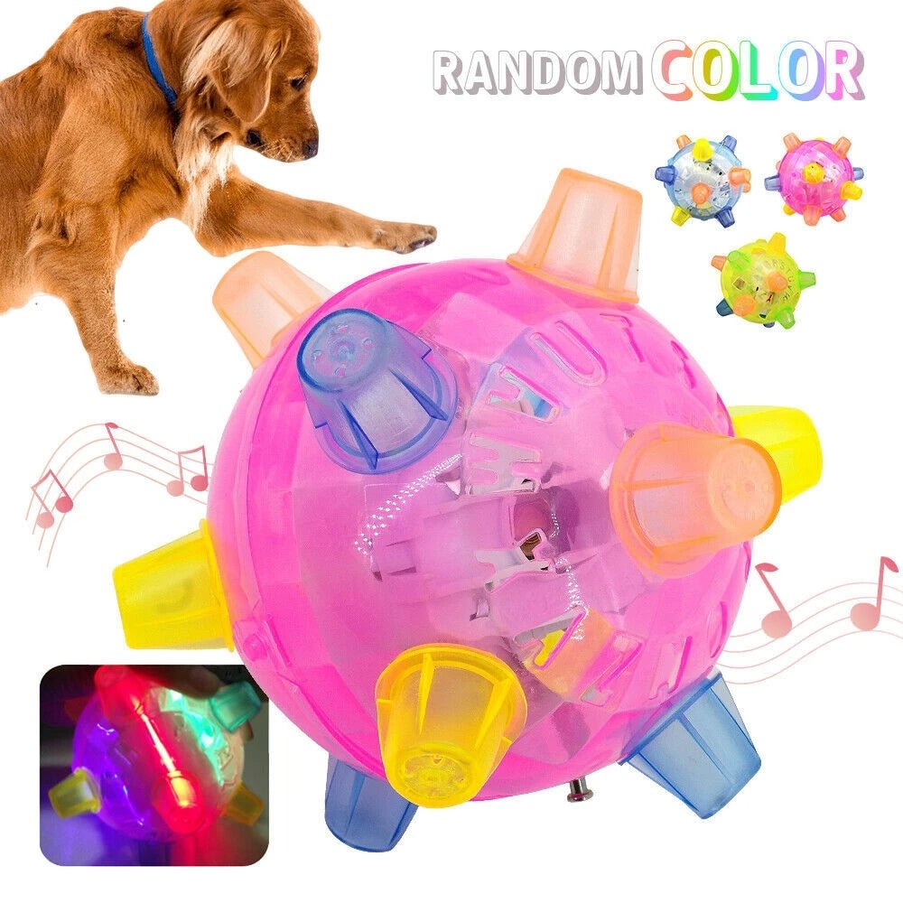 New Jumping Activation Ball For Dogs image 7