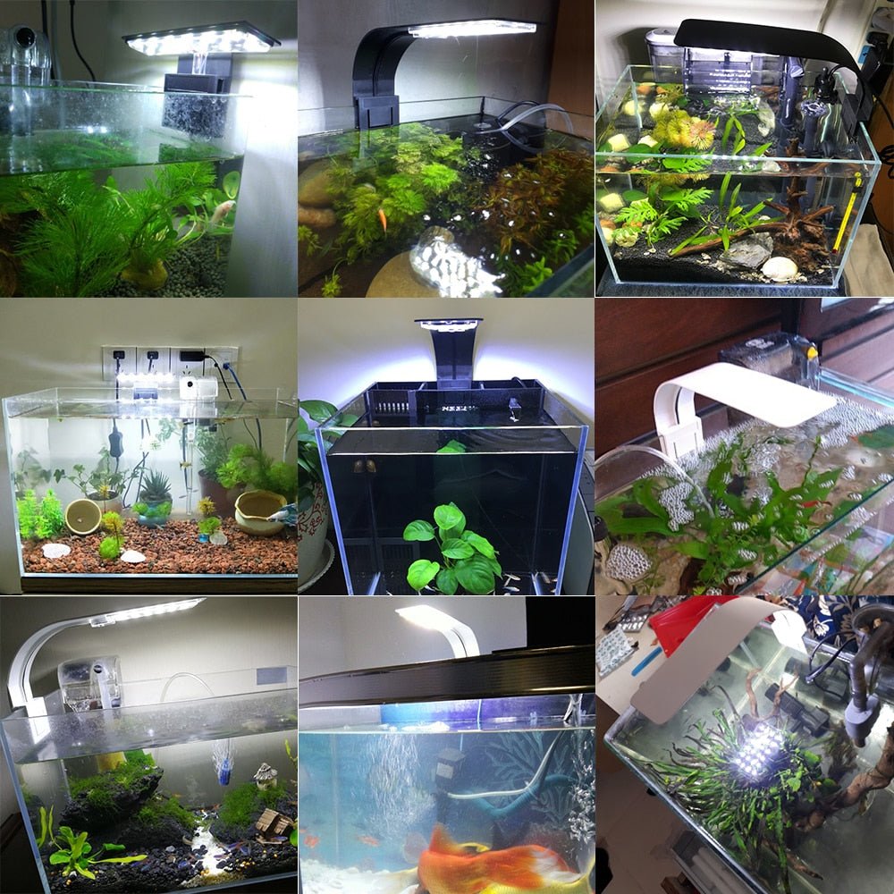 Premium LED Aquarium Fish Tank Light image 1
