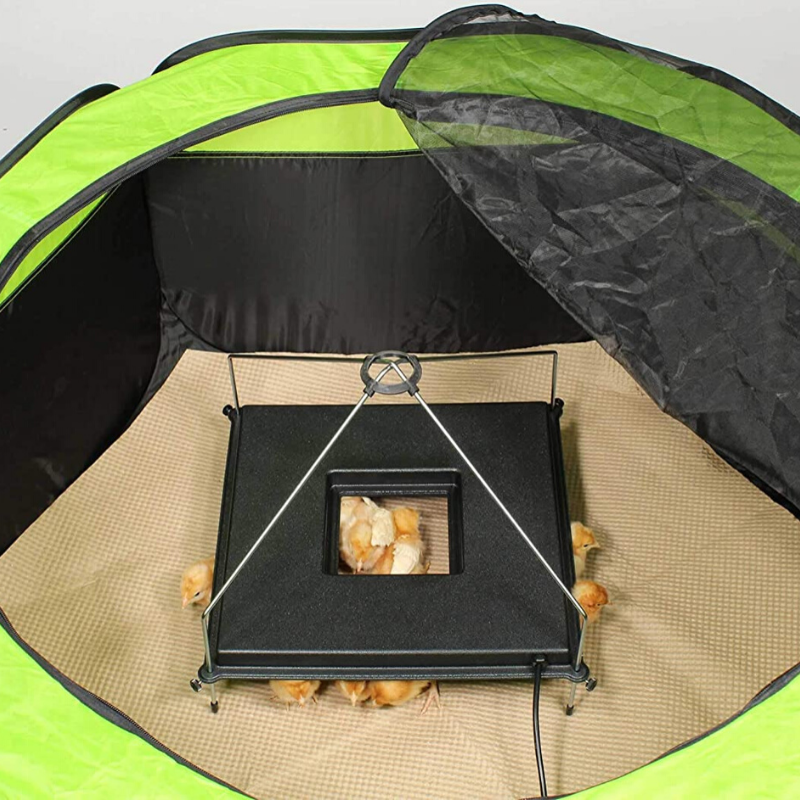 Premium Chicken Heat Brooder Plate image 3