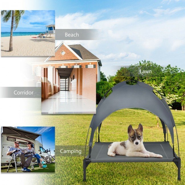 Portable Elevated Outdoor Pet Bed with Removable Canopy Shade image 2