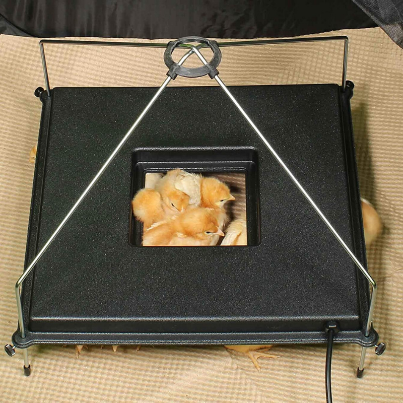 Premium Chicken Heat Brooder Plate image 0