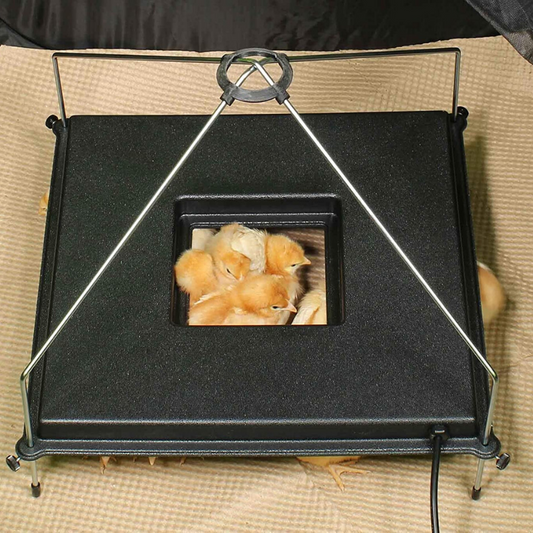 Premium Chicken Heat Brooder Plate image 0