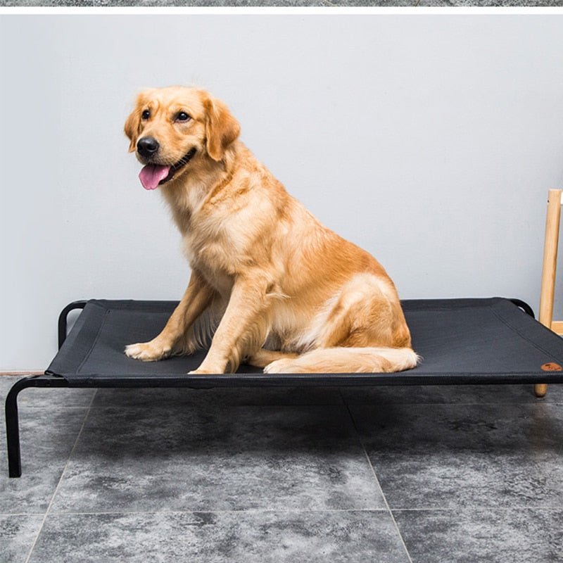 Soft Elevated Dog Cot Bed image 1