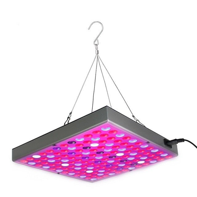 Plant LED Grow Lights Full Spectrum Indoor image 3
