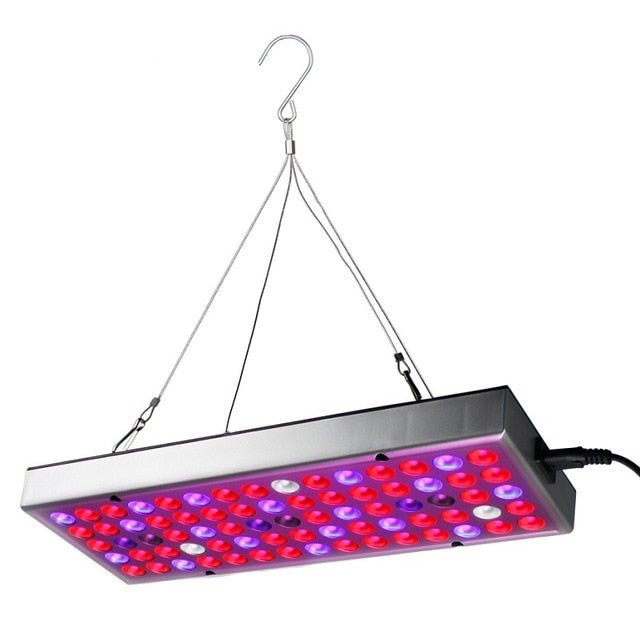 Plant LED Grow Lights Full Spectrum Indoor image 5