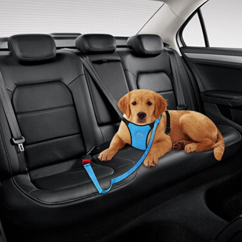Dog Car Harness Seat Belt Restraint - Blue, M image