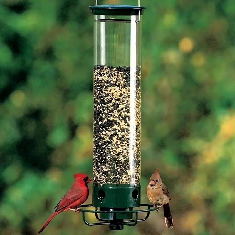 Squirrel Proof Bird Feeder image 5