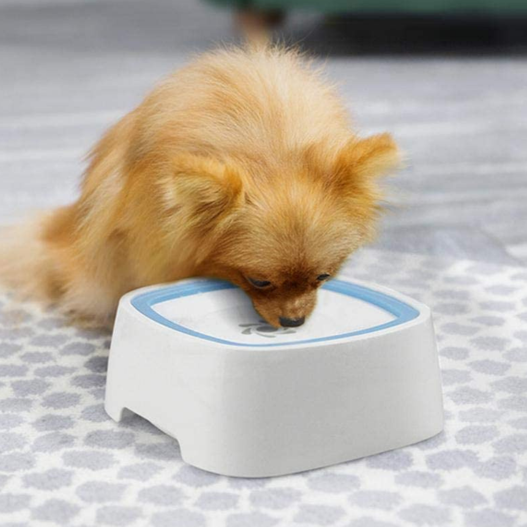 Large Portable Spill Proof Dog Water Fountain Bowl image 3