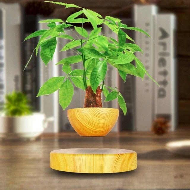 Levitating Magnetic Bonsai Tree Planter Pot image 4