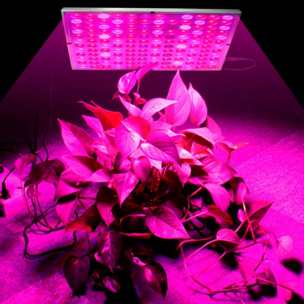 Plant LED Grow Lights Full Spectrum Indoor - 75 LED image