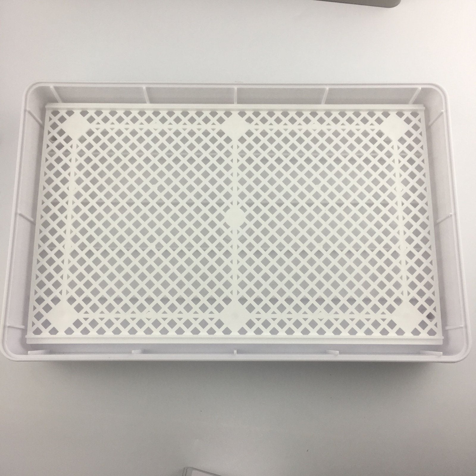 35 Premium Automatic Chicken Egg Incubator image 11