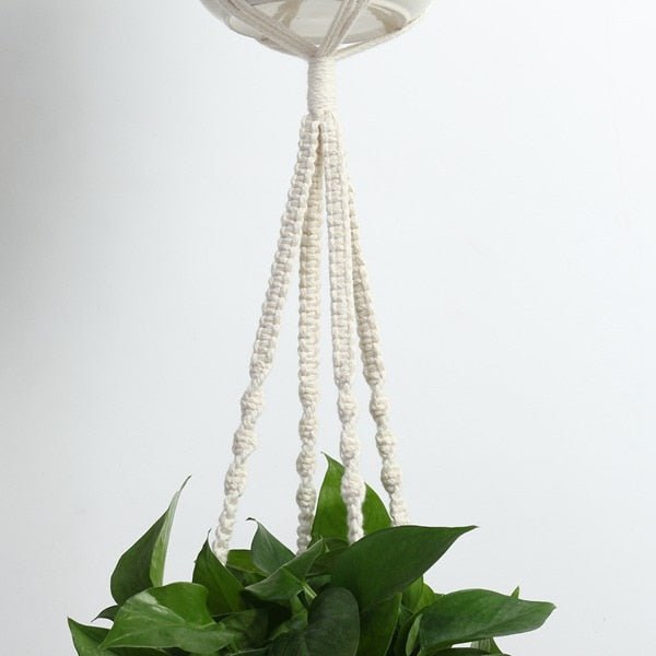 Premium Macrame Ceiling Hanging Planter Holder 5 Pack image 5