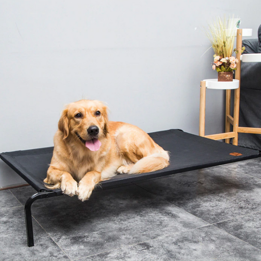 Soft Elevated Dog Cot Bed image 0