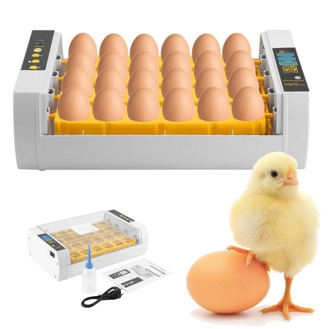 Premium Egg Incubator Automatic Chicken Quail Egg Hatcher 24 Eggs image 6