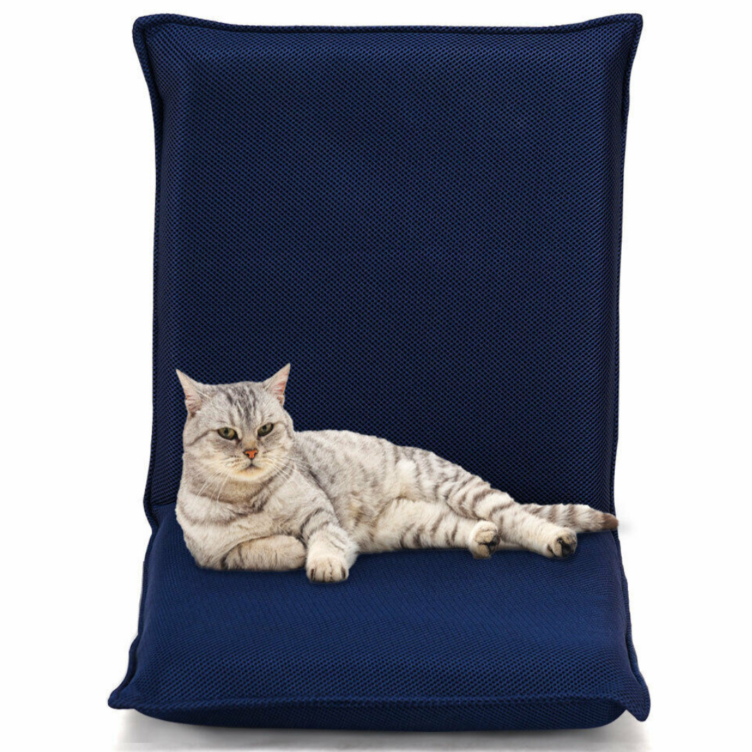 Adjustable Folding Cushion Adult Floor Chair With Back Support image 0