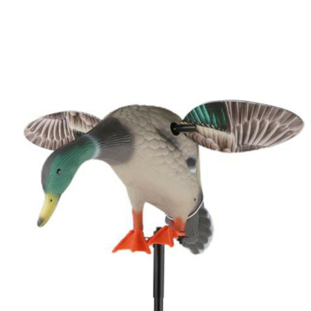 Premium Mallard Drake Full Body Motion Duck Decoy image 0