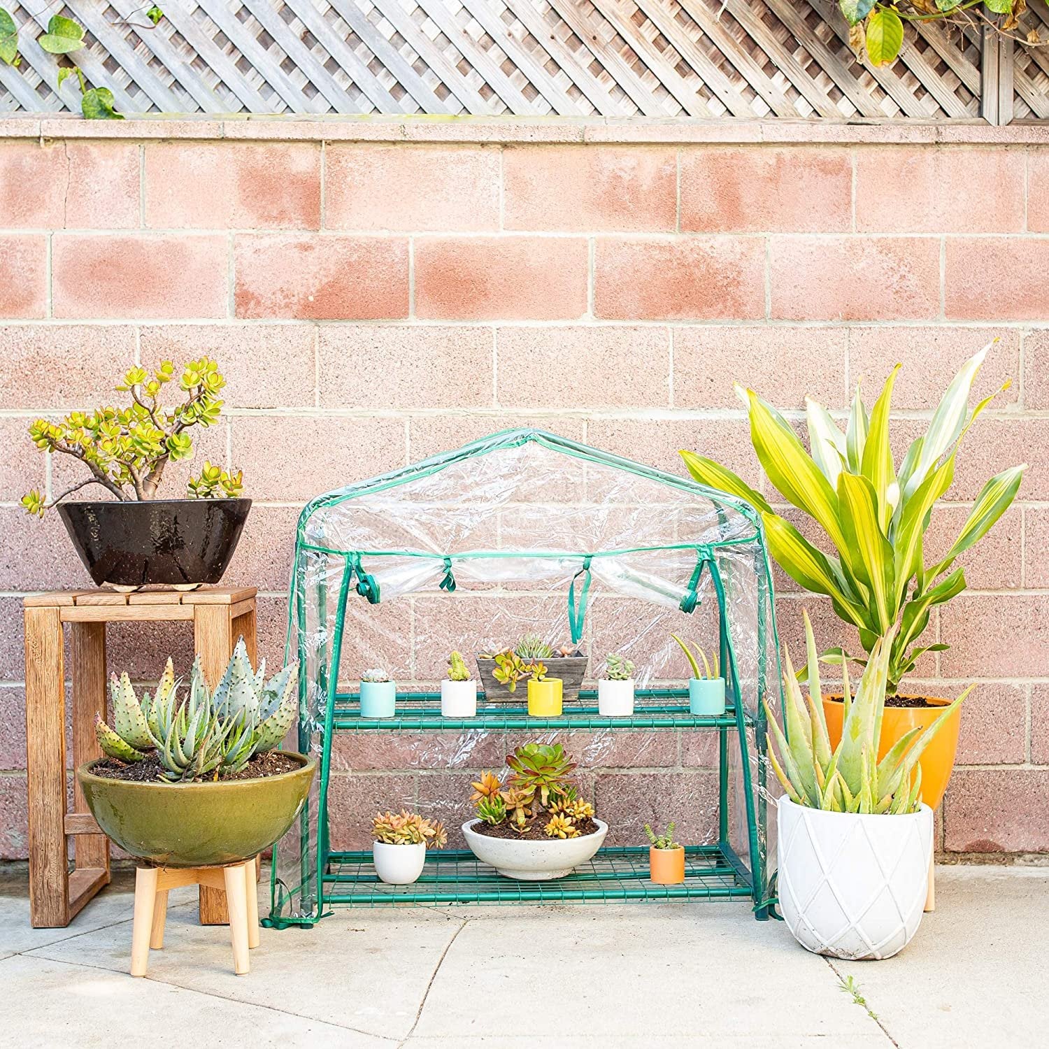 Educational Small Green House DIY Mini Indoor Little Greenhouse Indoor/Outdoor image 3