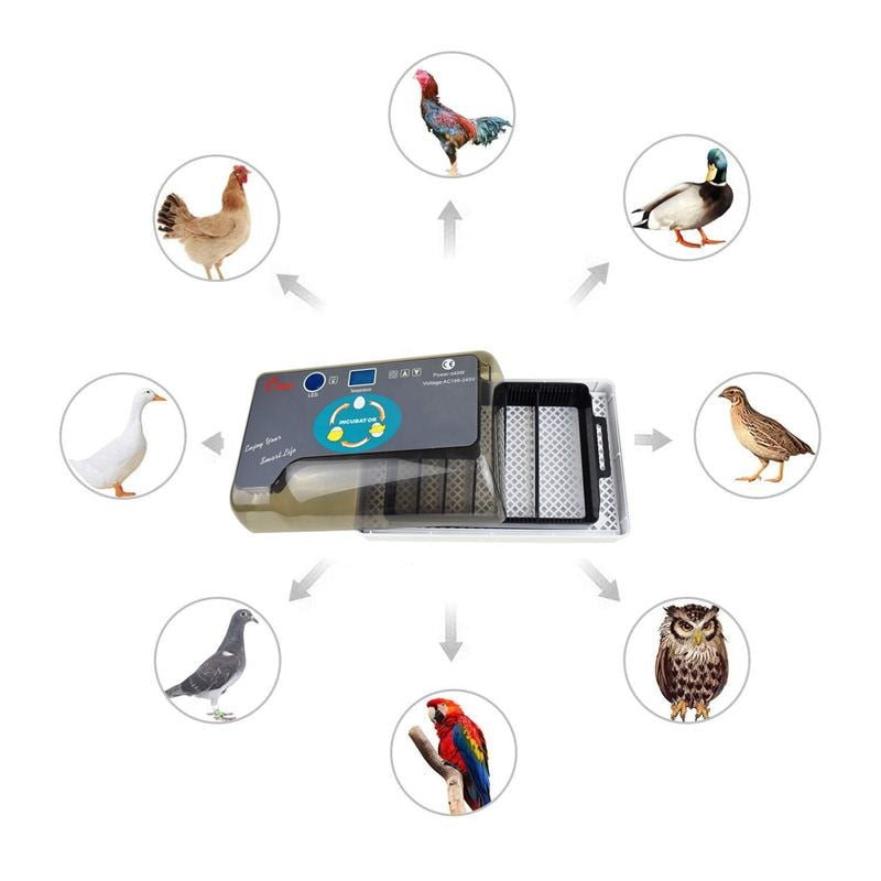 35 Premium Automatic Chicken Egg Incubator image 2