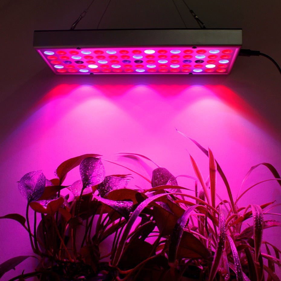 Plant LED Grow Lights Full Spectrum Indoor image 4