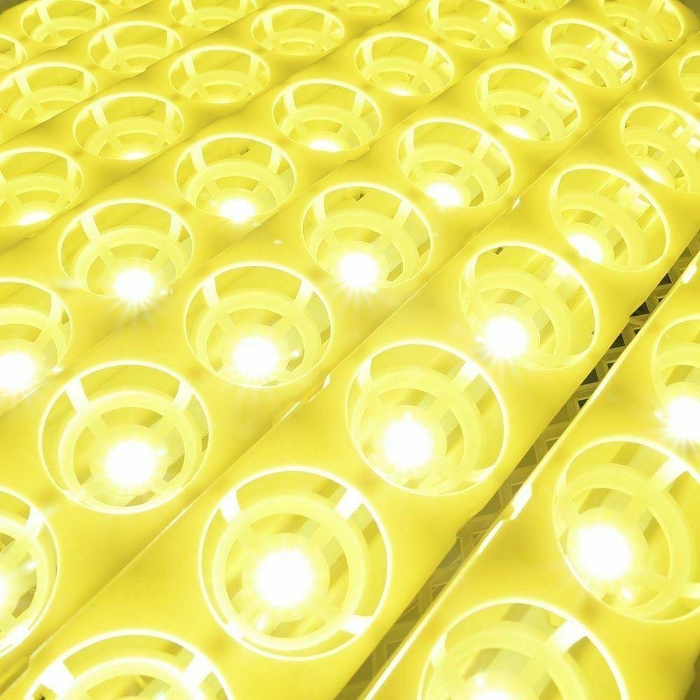 Premium Egg Incubator Automatic Chicken Quail Egg Hatcher 24 Eggs image 2