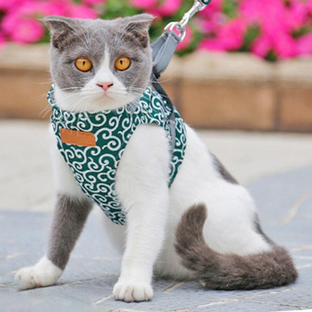 Escape Proof Cat Walking Vest Harness Leash image 0