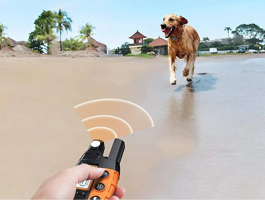 Premium 1000m Dog Training Collar with Remote image 4