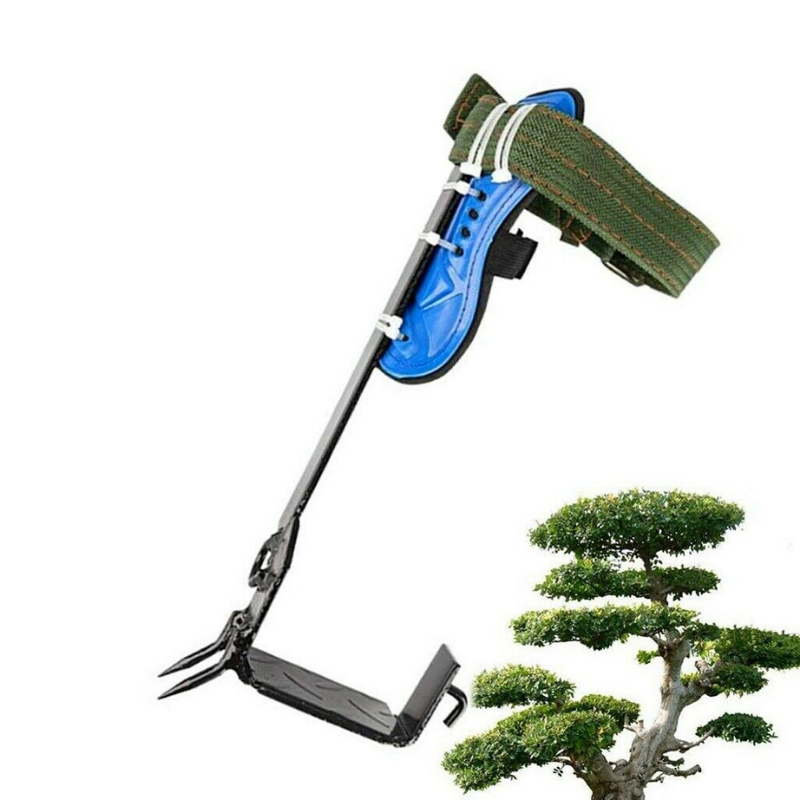 Premium Tree Climbing Spur Spikes image 5