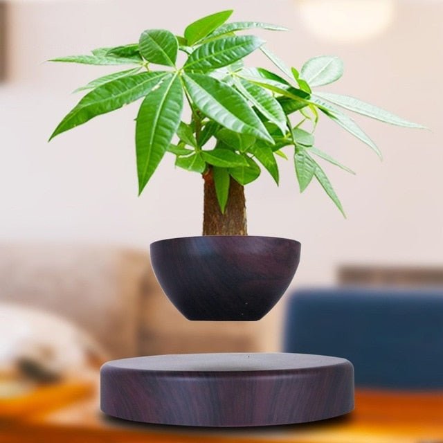 Levitating Magnetic Bonsai Tree Planter Pot - Black image