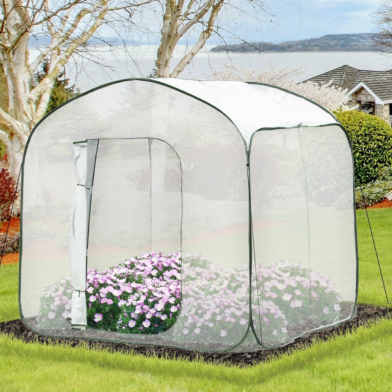 Small Pop Up Outdoor Home Garden Greenhouse image 0