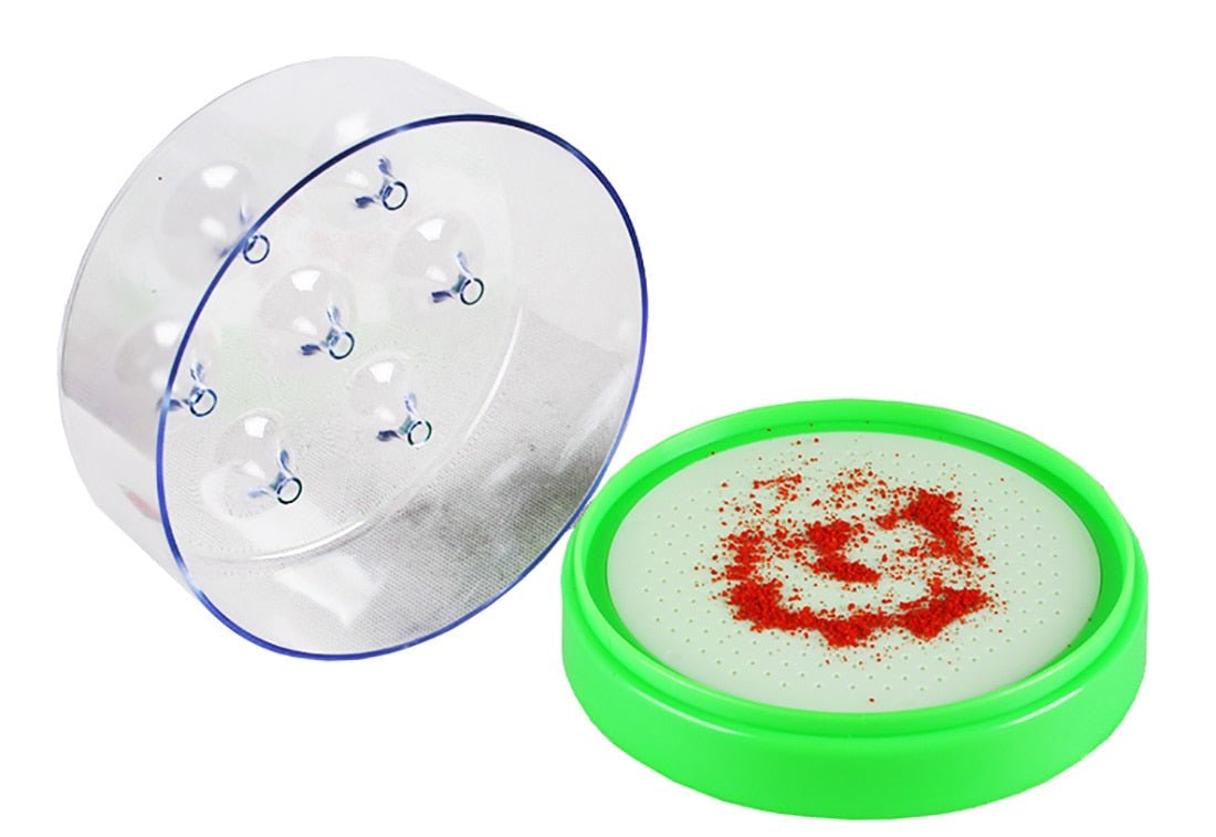 Premium Indoor House Fly Catcher Trap image 1