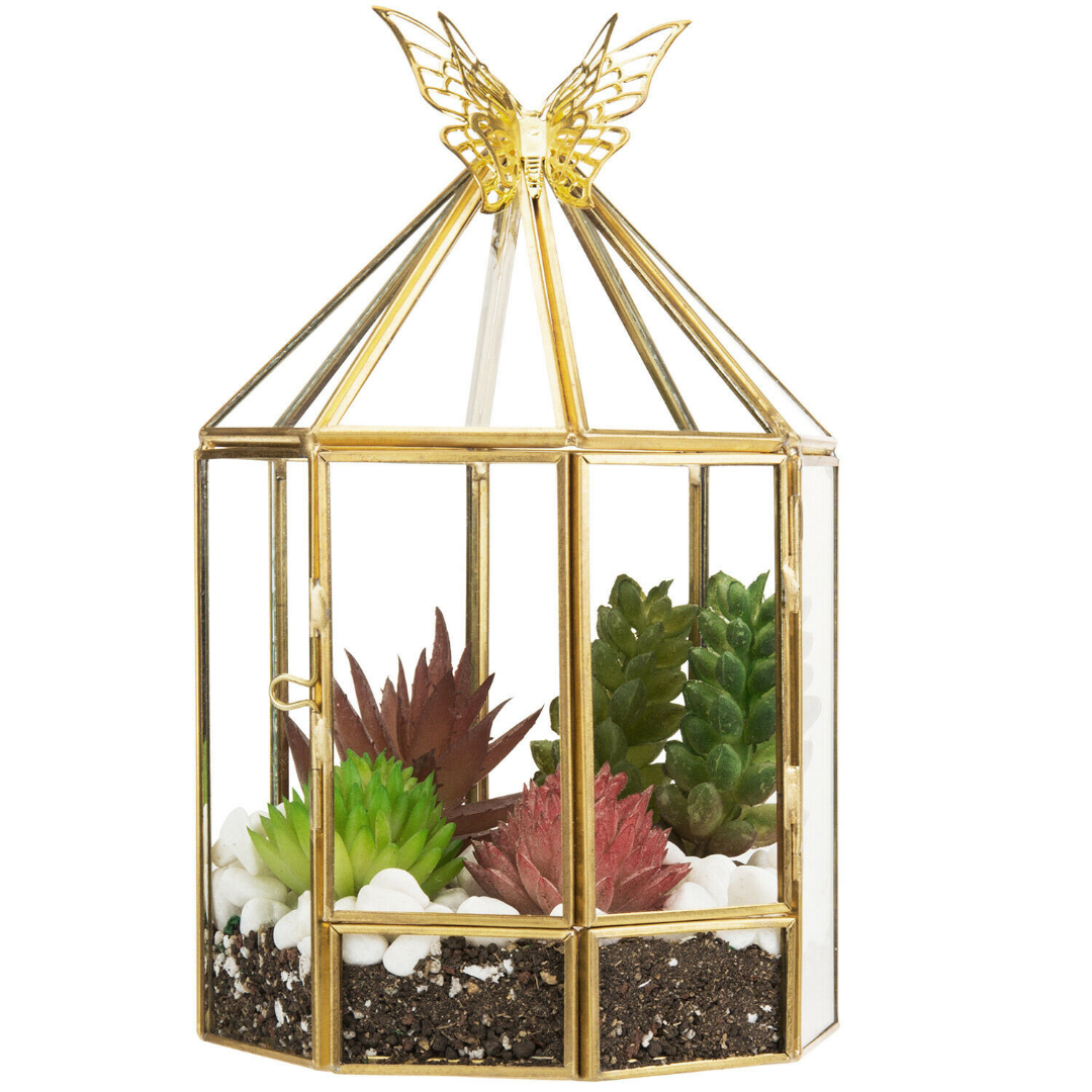 Hexagonal Closed Indoor Glass Plant Standing Terrarium image 5