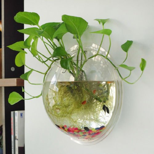 Luxurious Wall Mounted Planter Holder image