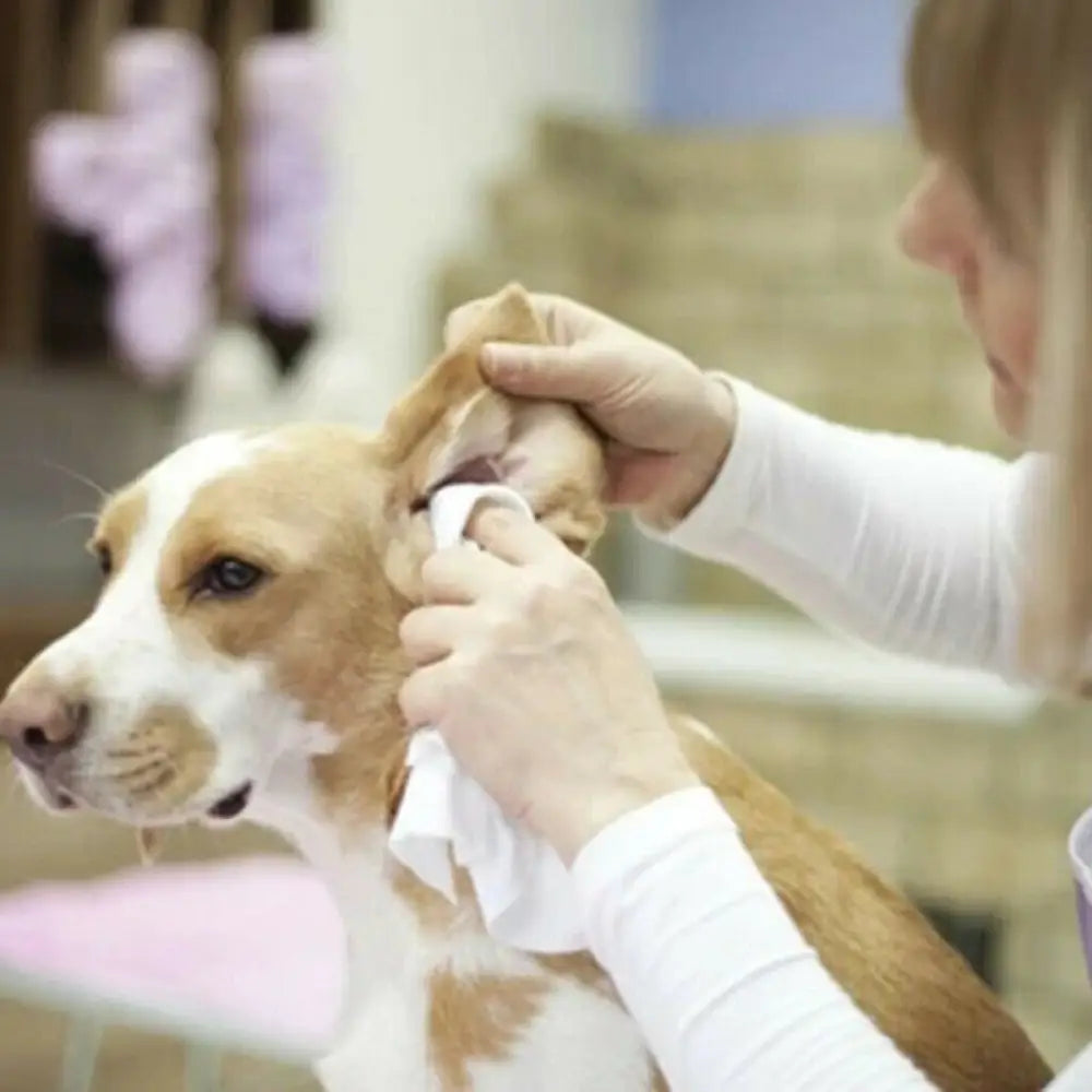 Pet Ear Powder