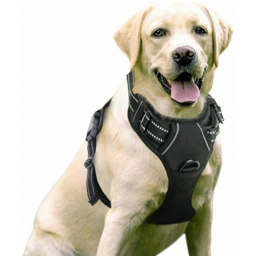 Heavy Duty No Pulling Front Clipping Dog Harness - Image 2